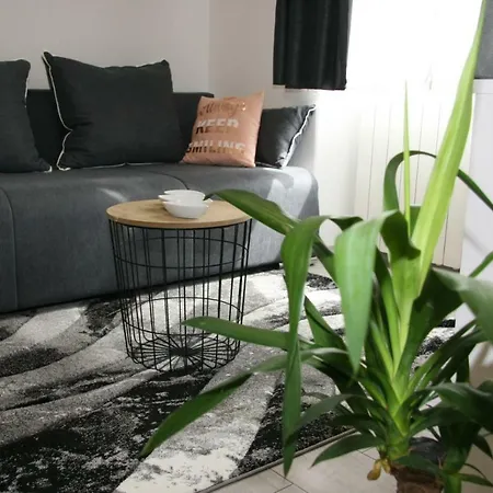 Apartment Stylish In Center
